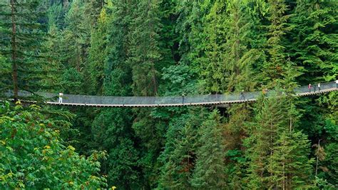 Calculated Traveller Blogspot Capilano Suspension Bridge Vancouver