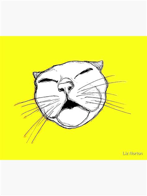Funny Cat Drawing Photographic Print For Sale By Lizn9842 Redbubble