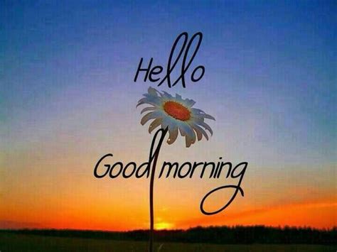 Hello Good Morning Pictures Photos And Images For