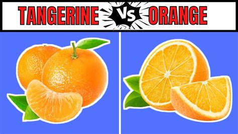Difference Between Clementine And Mandarin Orange Rafberry
