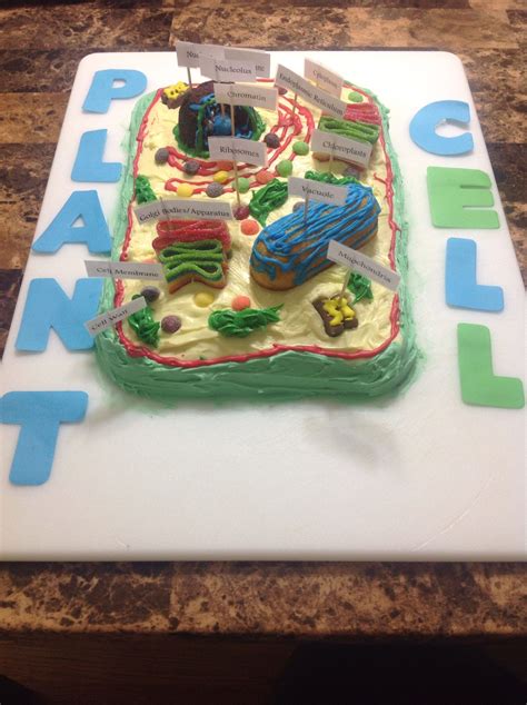 Treys Science Project Plant Cell Cake Plant Cell Project Models