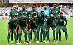 Coupe du monde 2018 : ce qu’il faut savoir sur l’équipe d’Arabie ...