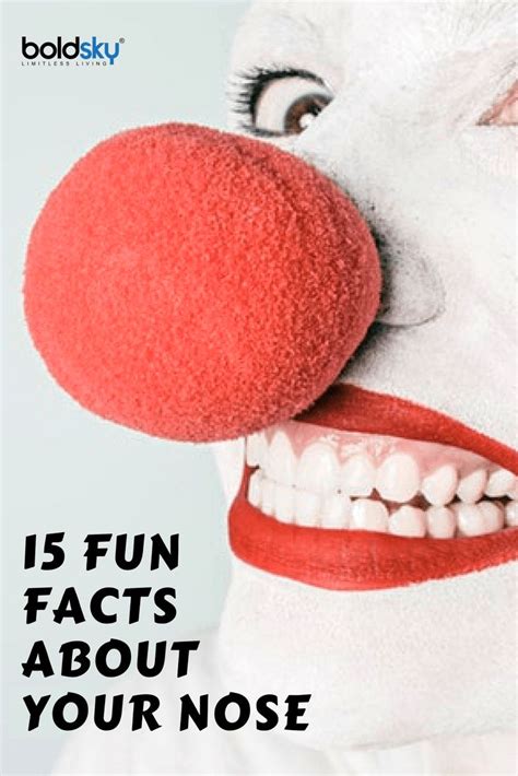 15 Interesting And Fun Facts About Your Nose That Will Blow Your Mind With Images Fun Facts