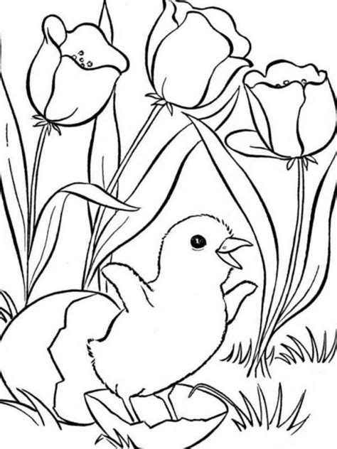 Bugs and butterflies (and winnie the pooh!) are ideal for toddlers. Spring Coloring Pages And Dozens More Free Printable ...