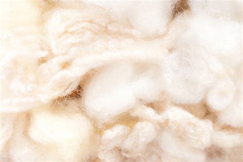 Best Raw Wool Stock Photos Pictures And Royalty Free Images Istock
