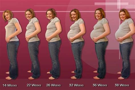 Ten Body Changes To Expect With Pregnancy Top 10 Of Anything And
