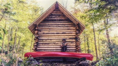 Off Grid Cabin In The Forest Raising The Roof And The Power Of Inertia