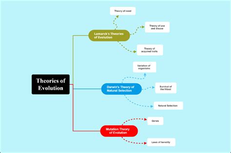 Evolution Concept Map Concept Theories And Patterns