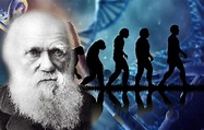 Prominent Yale professor explains how Darwin’s Theory of Evolution ...