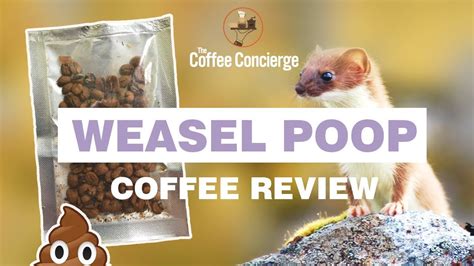 Weasel Poop Coffee Review Youtube