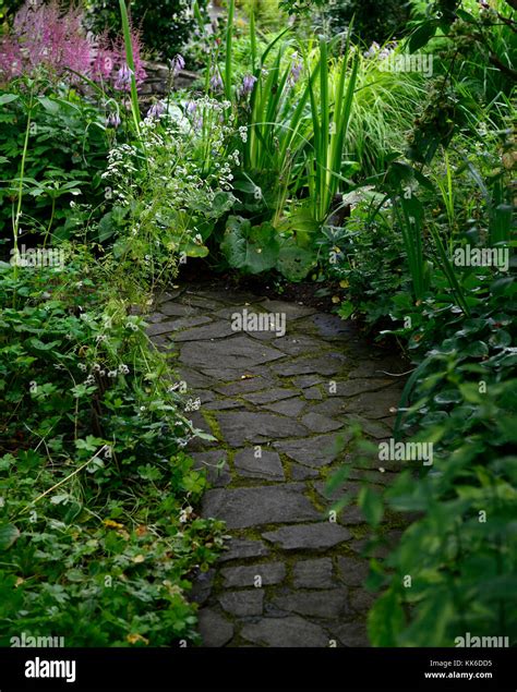Path Pathway Stone Paved Paving Shade Shady Shaded Garden