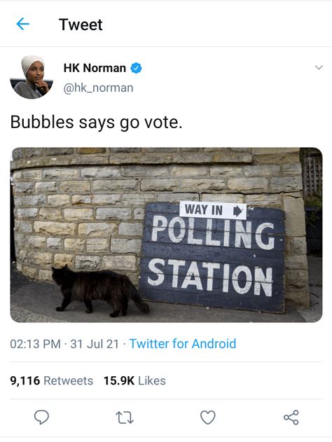 hk tweets on polling day r mhocpress