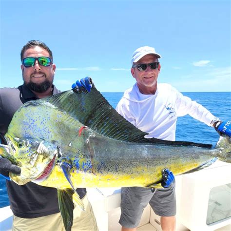 Esto Genera De Derrama Económica Pesca Deportiva En Baja California Sur