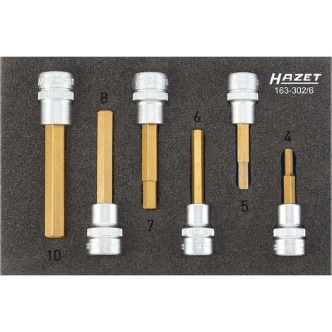 HAZET Jeu de douilles mâles 163 302 6 Carré creux 3 8 pouce 10 mm