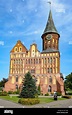 Kaliningrad, the old königsberg Cathedral on Kant island Stock Photo ...