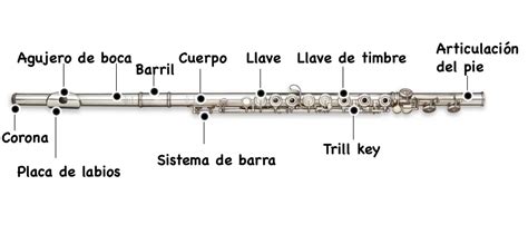 Partes De La Flauta Travesera Actualizado Lim