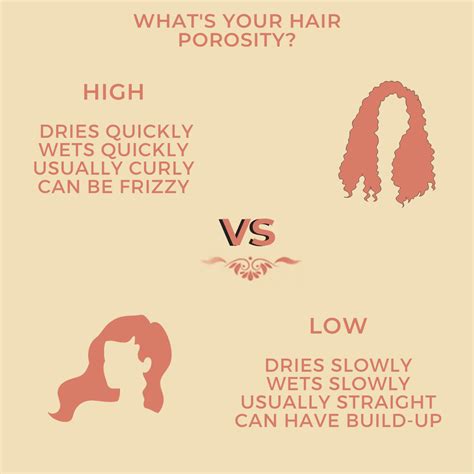 What Is Hair Porosity And Recommended Products Grow Gorgeous