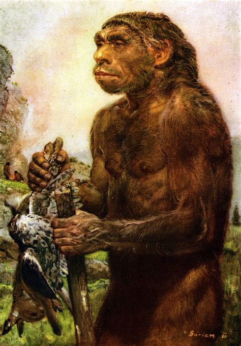 A Neanderthal By Zdenek Burian Prehistoric Man Prehistoric Neanderthal