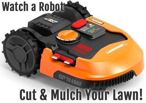 Worx Landroid Robotic Lawn Mower Reasons To Love It Hot Sex Picture