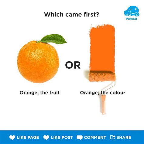 Which Came Firstorange The Color Or Orange The Fruit Education