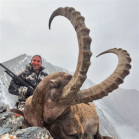 Hume Argali And Mid Asian Ibex Hunting In Kyrgyzstan With Profihunt