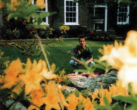 History In Pictures On Twitter Some Of The Last Photographs Taken Of Freddie Mercury At His