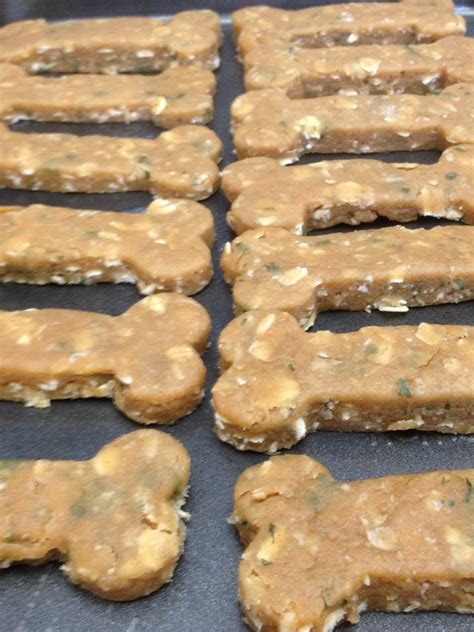 Make sure to keep dangerous foods out of reach of your dog or cat. Homemade Diabetic Dog Treats - Homemade Ftempo