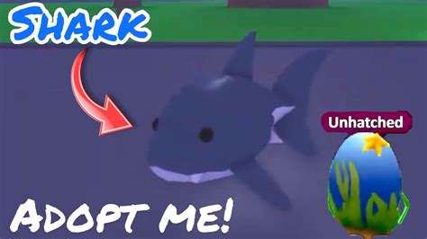 Confirmed Shark Pet 🦈 Coming To Adopt Me Ocean Egg Youtube