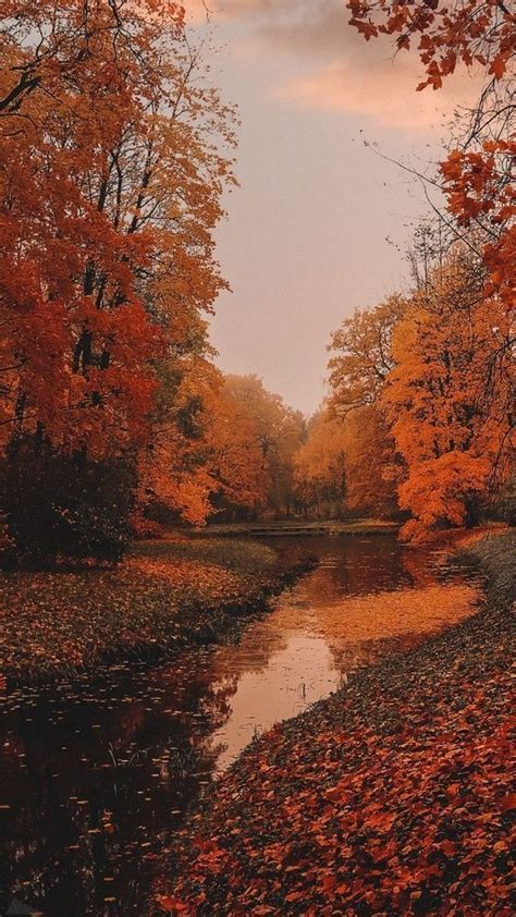 50 Free Amazing Fall Wallpapers For Iphone Autumn Scenery Fall