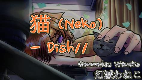 猫 Neko Dish Waneko Cover Youtube