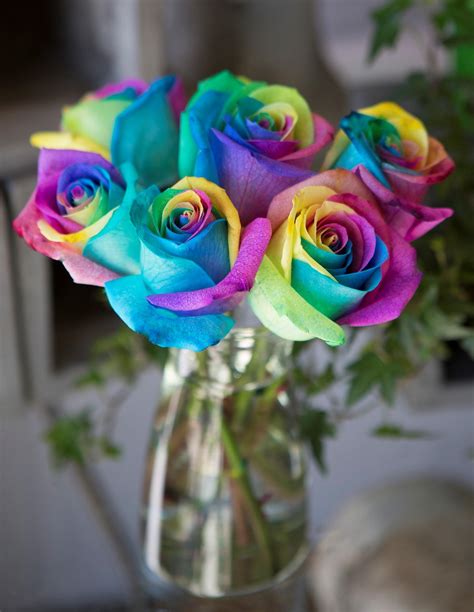 Kabloom Bouquet Of Fresh Cut Rainbow Roses 6 Rainbow