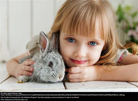 10 Reasons Why You Should Get Your Kids A Pet