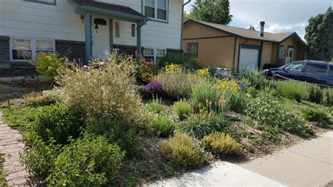 Lawn To Xeriscape Conversion Waterwise Yards