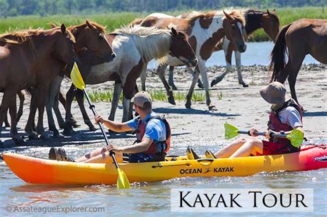 Assateague Island National Seashore Visitor Services