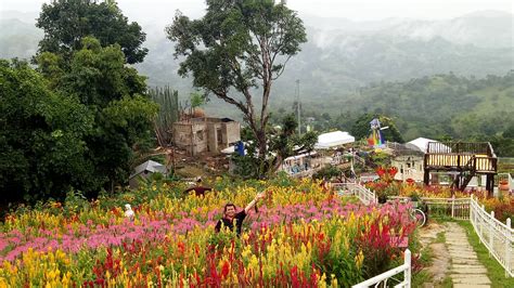 Flower Farm Cebu City Best Flower Site