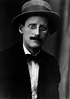 James Joyce Biography and Bibliography | FreeBook Summaries