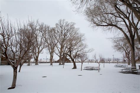 Premium Photo Nevada Usa First Snow In The Park