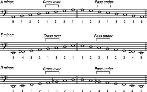 D Minor Scale Bass Clef