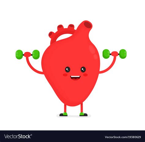 Cute Happy Smiling Heart Organ Doing Exercises Vector Image