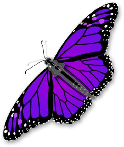 Download Purple Butterfly Transparent HQ PNG Image | FreePNGImg png image