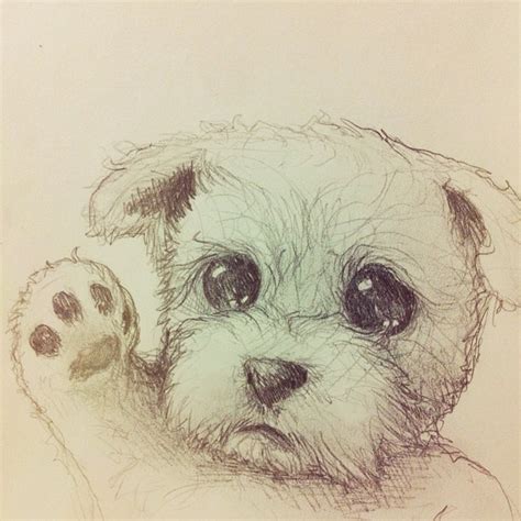 Cute Puppy Drawing At Getdrawings Free Download