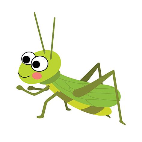 Royalty Free Cricket Insect Clip Art Vector Images And Illustrations