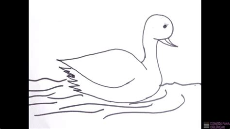 磊【2750】los Mejores Dibujos De Patos Para Colorear ⚡️ Dibujos Para