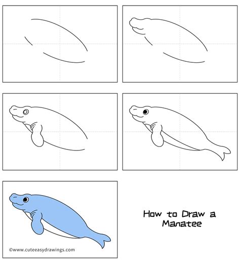 How To Draw A Manatee Easy Step By Step For Kids Cute Easy Drawings