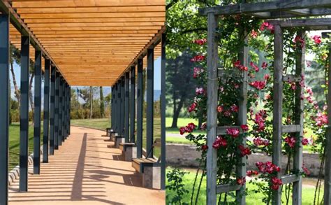 Pergola Vs Trellis Understanding The Differences And Choosing The