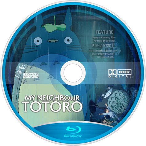My Neighbor Totoro Picture Image Abyss