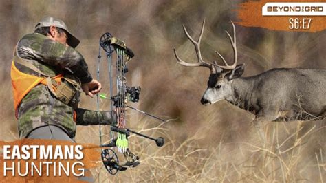 Bow Hunting Deer Diy With Brian Barney Eastmans Official Blog Mule