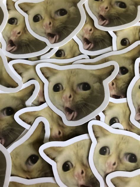 10x Coughing Cat Meme Vinyl Sticker Pack Funny Cat Memes Etsy