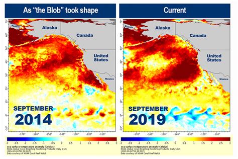 Faq Californias Marine Heat Waves Scripps Institution Of Oceanography