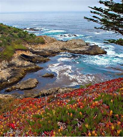 Carmel California Mile Drive Monterey Sea Places